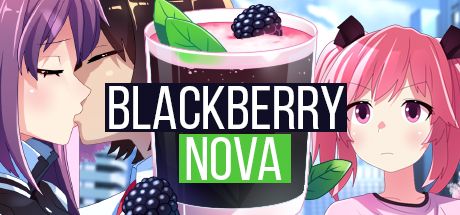 Blackberry Nova Apk Android Download (11)