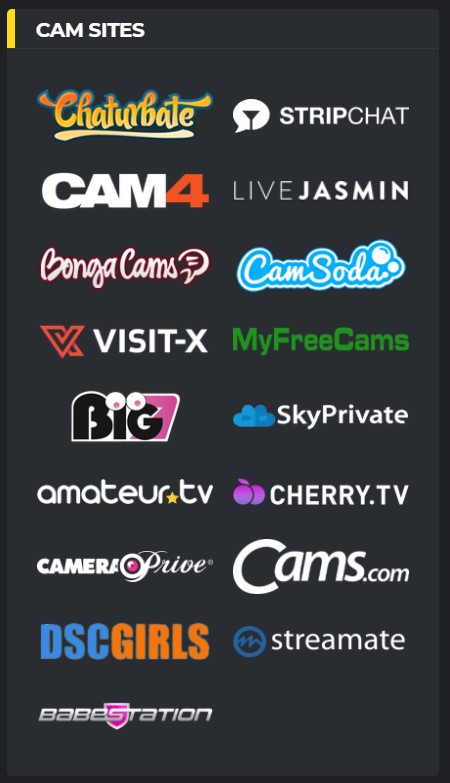 Comprehensive Review Of Lemoncams Expanding Your Live Cam Horizons (2)